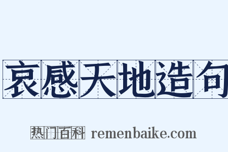 哀感天地造句是什么意思的图片